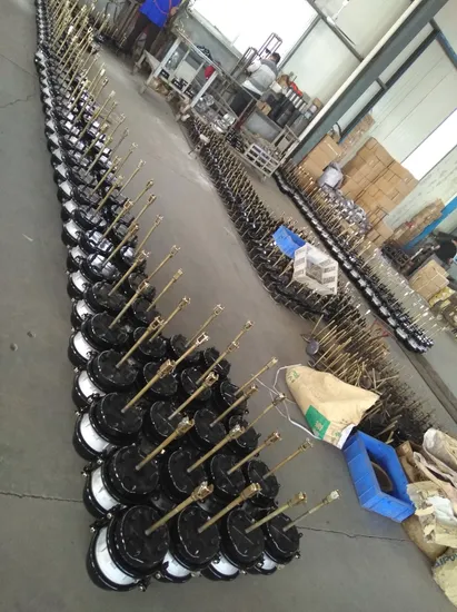 Air Brake Chamber Brake Booster T30 T3030 T24